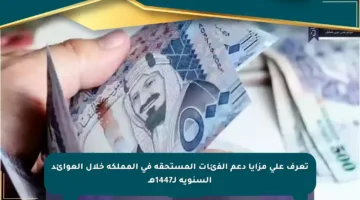 تعرف على مزايا دعم الفئات المستحقة في المملكة خلال العوائد السنوية لـ1447هـ